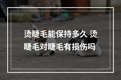 烫睫毛能保持多久 烫睫毛对睫毛有损伤吗