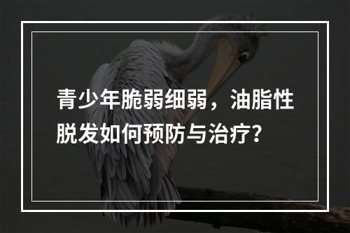 青少年脆弱细弱，油脂性脱发如何预防与治疗？