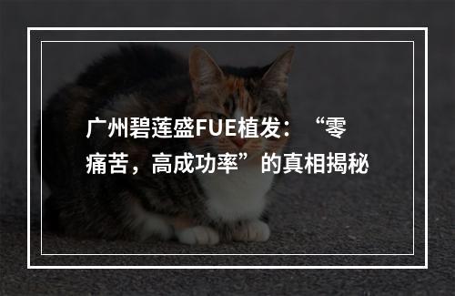 广州碧莲盛FUE植发：“零痛苦，高成功率”的真相揭秘