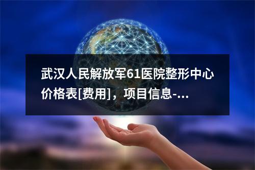 武汉人民解放军61医院整形中心价格表[费用]，项目信息-阴唇肥大整复手术案例