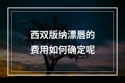 西双版纳漂唇的费用如何确定呢