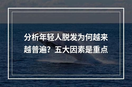 分析年轻人脱发为何越来越普遍？五大因素是重点