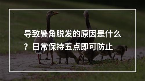 导致鬓角脱发的原因是什么？日常保持五点即可防止