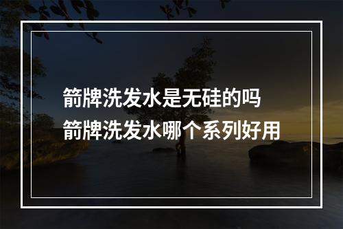 箭牌洗发水是无硅的吗 箭牌洗发水哪个系列好用