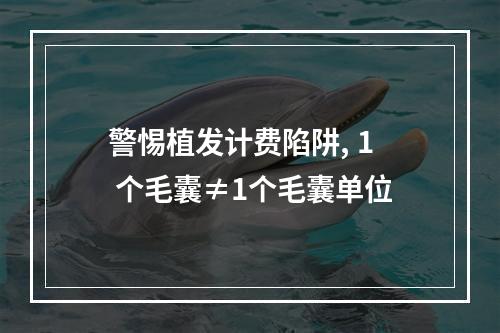 警惕植发计费陷阱, 1 个毛囊≠1个毛囊单位