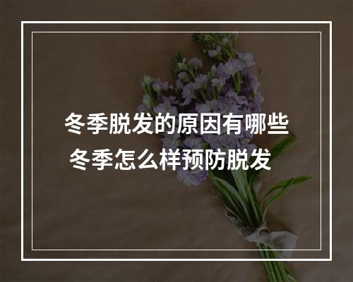 冬季脱发的原因有哪些 冬季怎么样预防脱发