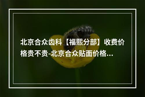 北京合众齿科【福熙分部】收费价格贵不贵-北京合众贴面价格表接地气的来了-