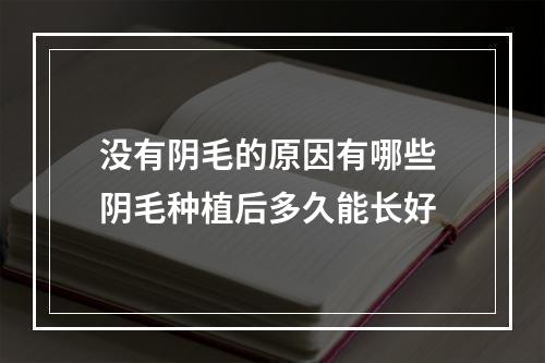 没有阴毛的原因有哪些 阴毛种植后多久能长好