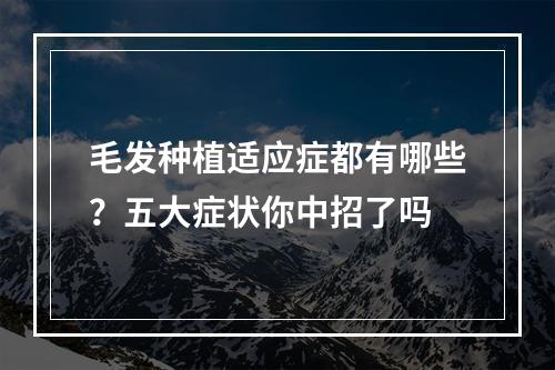 毛发种植适应症都有哪些？五大症状你中招了吗