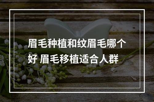 眉毛种植和纹眉毛哪个好 眉毛移植适合人群