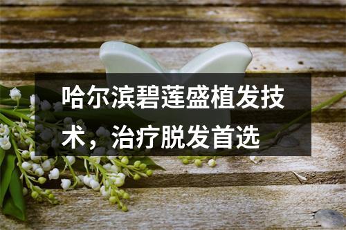 哈尔滨碧莲盛植发技术，治疗脱发首选