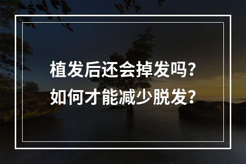 植发后还会掉发吗？如何才能减少脱发？