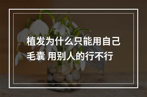 植发为什么只能用自己毛囊 用别人的行不行