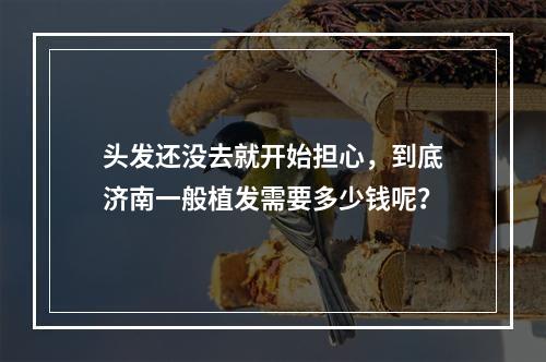 头发还没去就开始担心，到底济南一般植发需要多少钱呢？