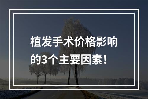 植发手术价格影响的3个主要因素！