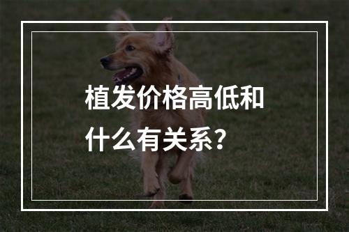 植发价格高低和什么有关系？