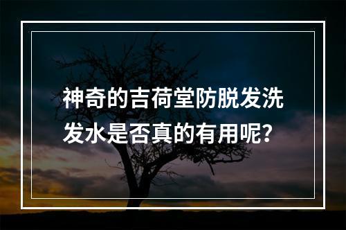 神奇的吉荷堂防脱发洗发水是否真的有用呢？