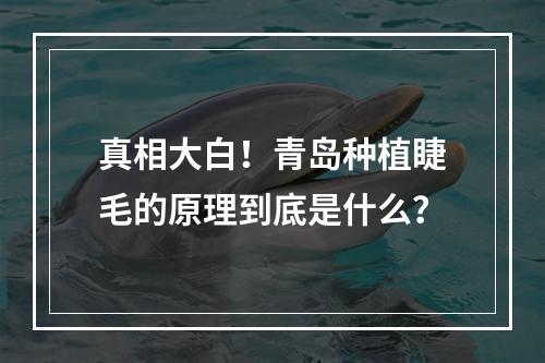 真相大白！青岛种植睫毛的原理到底是什么？