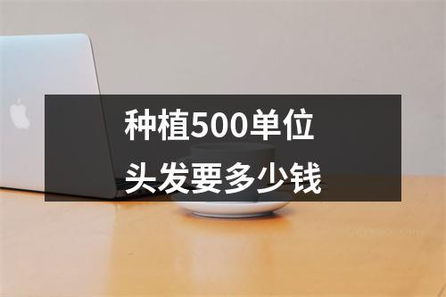 种植500单位头发要多少钱