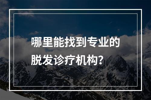 哪里能找到专业的脱发诊疗机构？