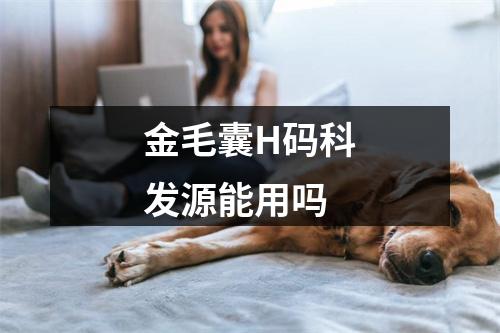 金毛囊H码科发源能用吗