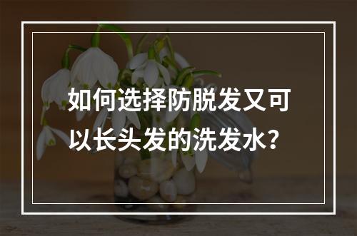 如何选择防脱发又可以长头发的洗发水？