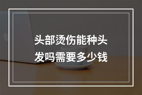 头部烫伤能种头发吗需要多少钱