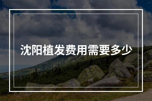 沈阳植发费用需要多少