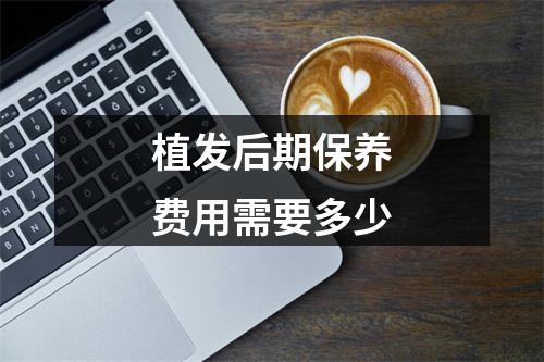 植发后期保养费用需要多少