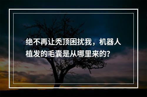 绝不再让秃顶困扰我，机器人植发的毛囊是从哪里来的？