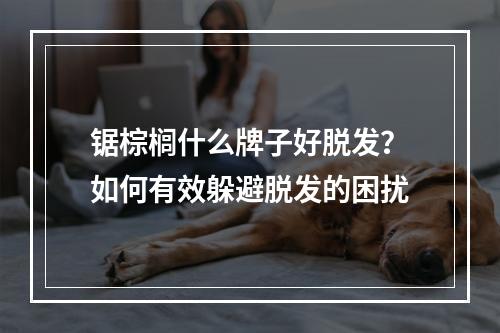 锯棕榈什么牌子好脱发？如何有效躲避脱发的困扰