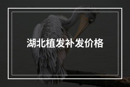 湖北植发补发价格