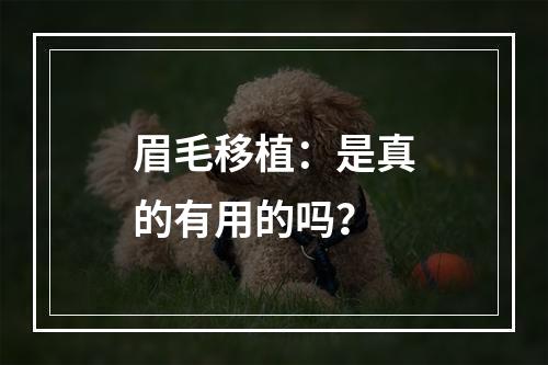 眉毛移植：是真的有用的吗？