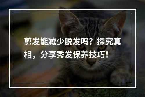 剪发能减少脱发吗？探究真相，分享秀发保养技巧！