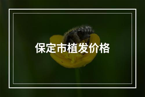 保定市植发价格