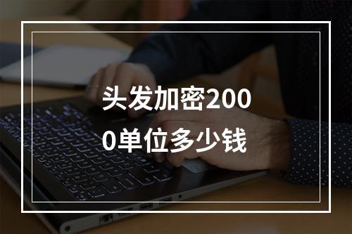 头发加密2000单位多少钱