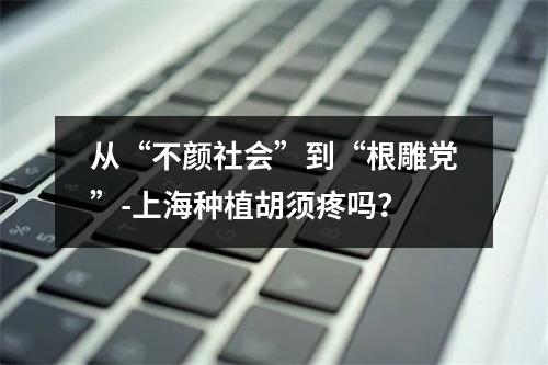 从“不颜社会”到“根雕党”-上海种植胡须疼吗？