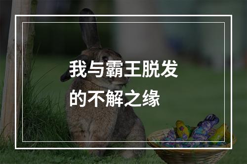 我与霸王脱发的不解之缘