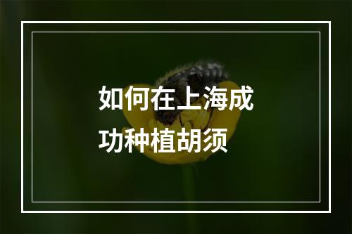 如何在上海成功种植胡须