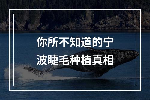 你所不知道的宁波睫毛种植真相