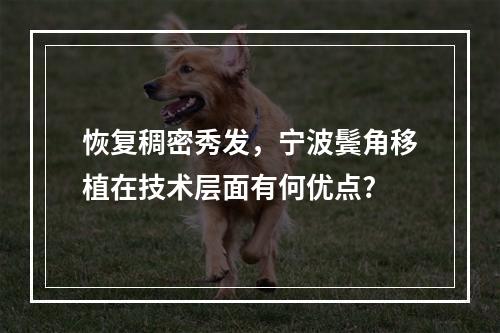 恢复稠密秀发，宁波鬓角移植在技术层面有何优点?