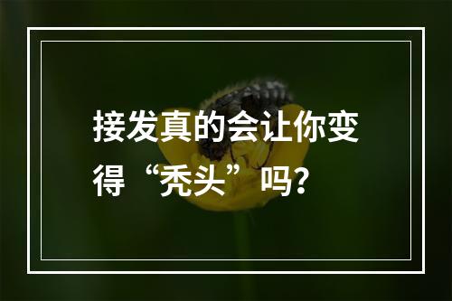 接发真的会让你变得“秃头”吗？