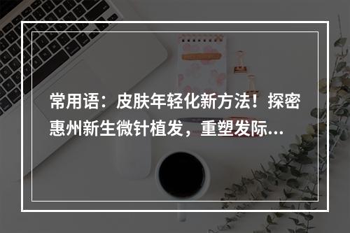 常用语：皮肤年轻化新方法！探密惠州新生微针植发，重塑发际线！