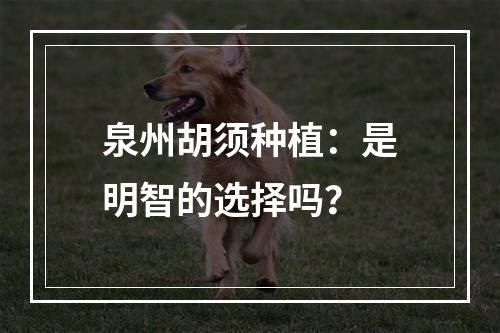 泉州胡须种植：是明智的选择吗？