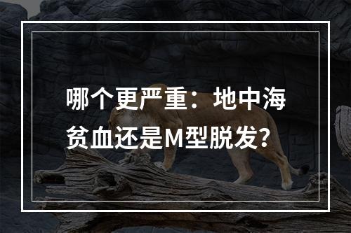 哪个更严重：地中海贫血还是M型脱发？