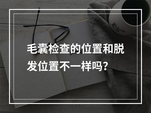 毛囊检查的位置和脱发位置不一样吗？