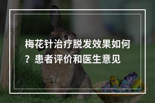 梅花针治疗脱发效果如何？患者评价和医生意见