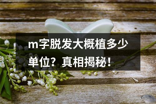 m字脱发大概植多少单位？真相揭秘！