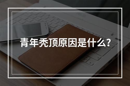 青年秃顶原因是什么？