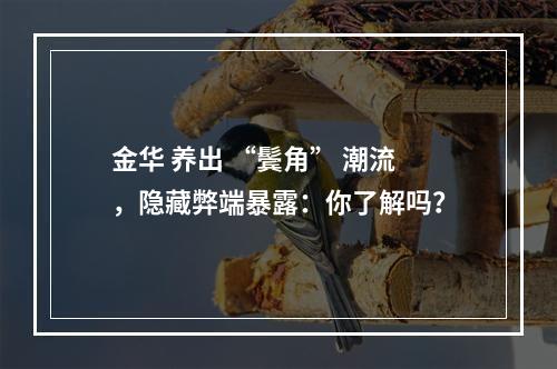 金华 养出 “鬓角” 潮流，隐藏弊端暴露：你了解吗？